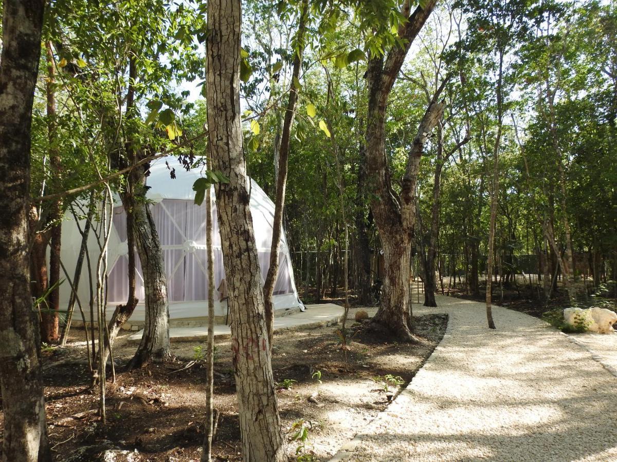 Glamping Glamping Mayan Glam Tulum