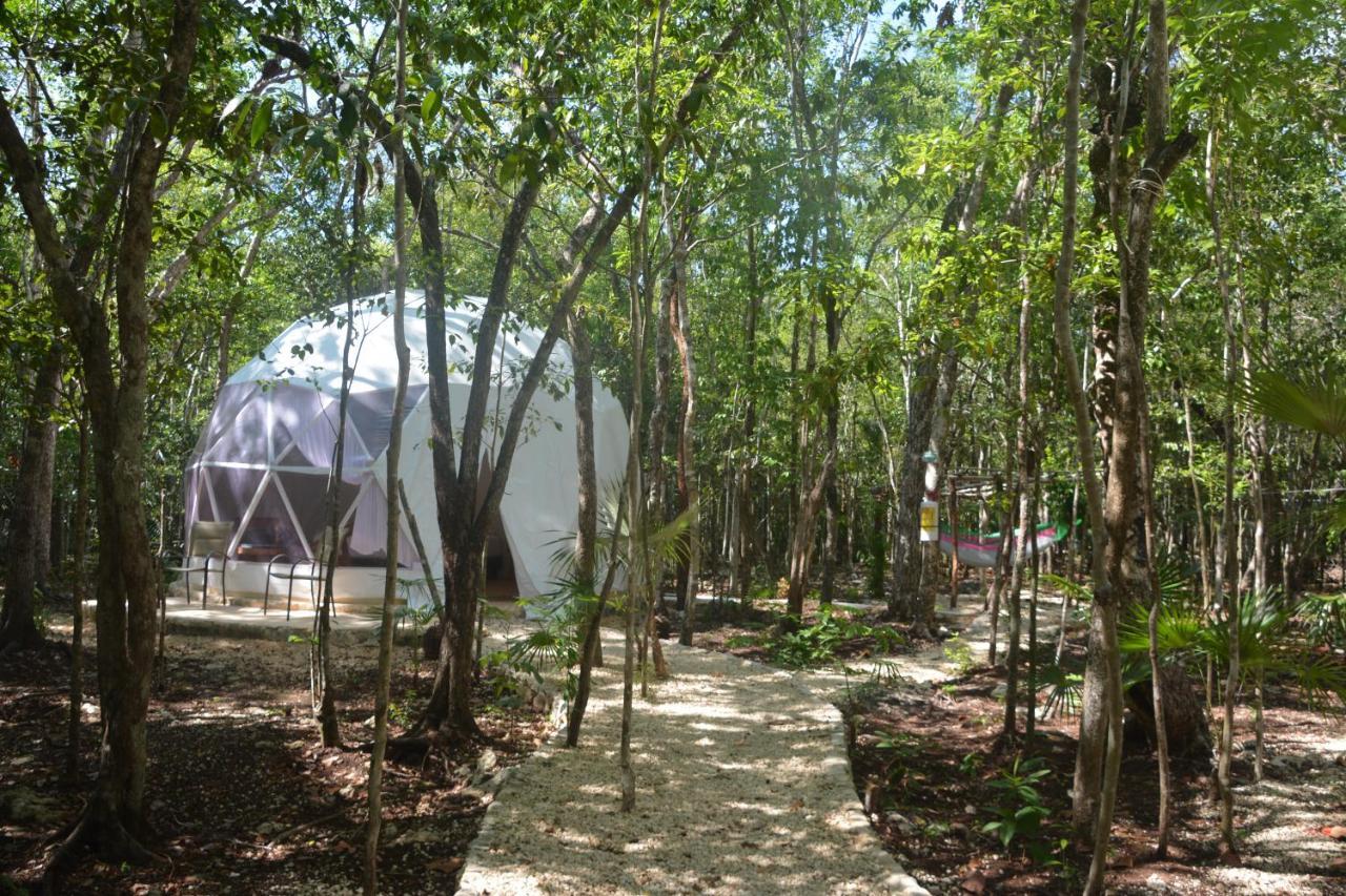 Glamping Mayan Glam Glamping *
