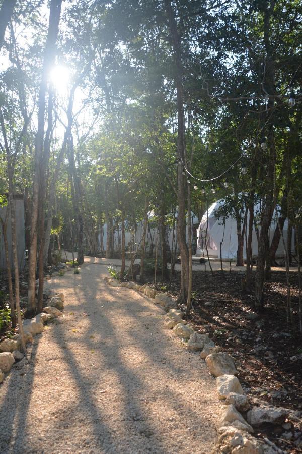 Glamping Glamping Mayan Glam